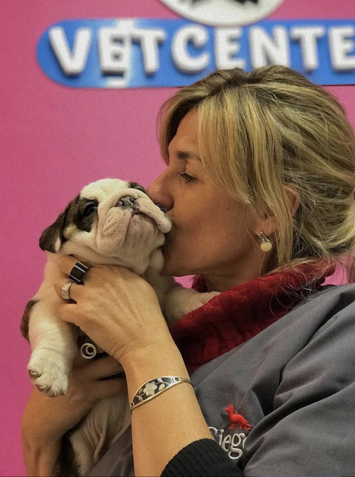 Gato atigrado naranja sentado sereno sobre la toalla de examinación clínica en Vet Center Resistencia